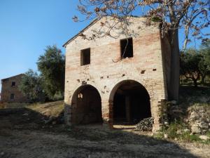 Aziende Agricole e Vitivinicole in Vendita a Lapedona #17