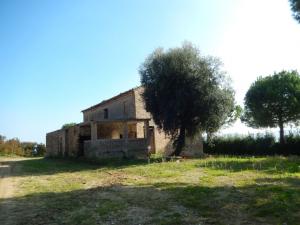 Aziende Agricole e Vitivinicole in Vendita a Lapedona #21