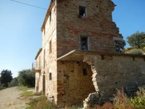 Aziende Agricole e Vitivinicole in Vendita a Lapedona #23