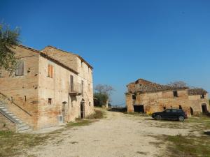 Aziende Agricole e Vitivinicole in Vendita a Lapedona #25
