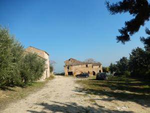 Aziende Agricole e Vitivinicole in Vendita a Lapedona #26