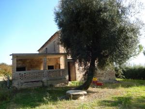 Aziende Agricole e Vitivinicole in Vendita a Lapedona #31