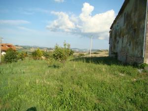 Rustici e Casali in Vendita a Appignano del Tronto #5