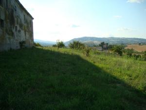 Rustici e Casali in Vendita a Appignano del Tronto #9