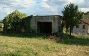Rustici e Casali in Vendita a Appignano del Tronto #10