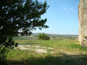 Rustici e Casali in Vendita a Appignano del Tronto #11