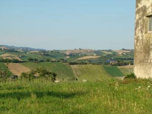 Rustici e Casali in Vendita a Appignano del Tronto #12
