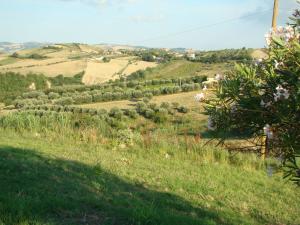 Rustici e Casali in Vendita a Appignano del Tronto #13