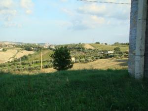 Rustici e Casali in Vendita a Appignano del Tronto #15
