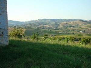 Rustici e Casali in Vendita a Appignano del Tronto #16