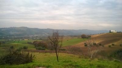 Rustici e Casali in Vendita a Moresco #11