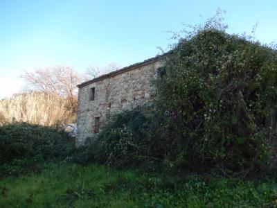 Rustici e Casali in Vendita a Campofilone #6