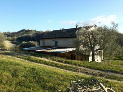 Rustici e Casali in Vendita a Petritoli #2