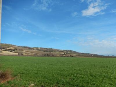 Rustici e Casali in Vendita a Moresco #5