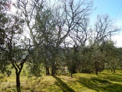 Rustici e Casali in Vendita a Moresco #14