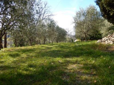 Rustici e Casali in Vendita a Moresco #19