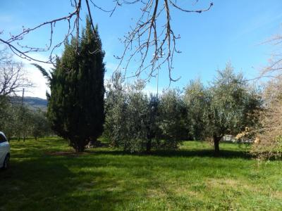 Rustici e Casali in Vendita a Moresco #20