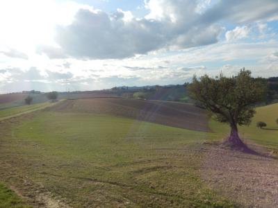 Rustici e Casali in Vendita a Monteprandone #8