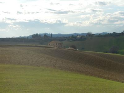 Rustici e Casali in Vendita a Monteprandone #16