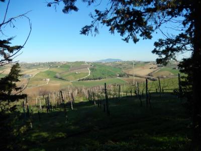 Ville di Prestigio in Vendita a Montecassiano #32