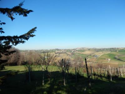 Ville di Prestigio in Vendita a Montecassiano #33