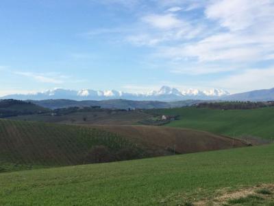 Rustici e Casali in Vendita a Monteprandone #12