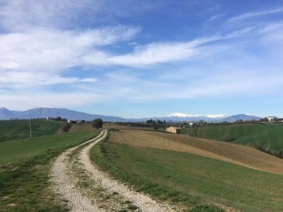 Rustici e Casali in Vendita a Monteprandone #7