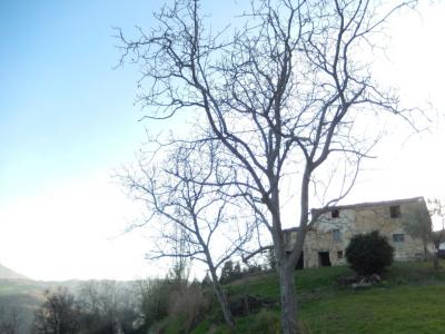 Rustici e Casali in Vendita a Montelparo #2