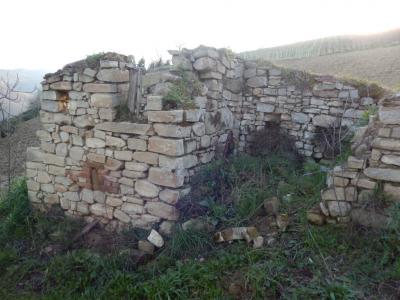Rustici e Casali in Vendita a Montelparo #17