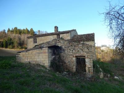 Rustici e Casali in Vendita a Montelparo #18