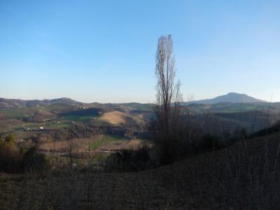 Rustici e Casali in Vendita a Montelparo #27