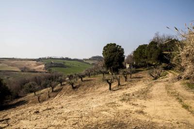 Rustici e Casali in Vendita a Massignano #3