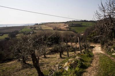 Rustici e Casali in Vendita a Massignano #5