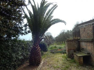 Rustici e Casali in Vendita a Massignano #4