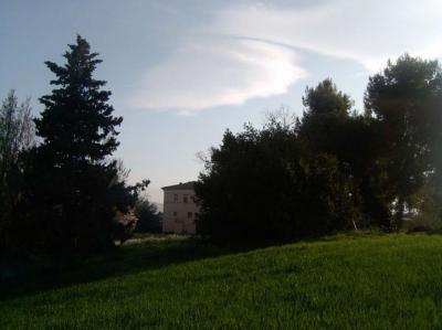 Ville di Prestigio in Vendita a Cossignano #5