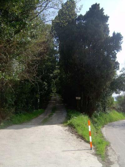 Ville di Prestigio in Vendita a Cossignano #7