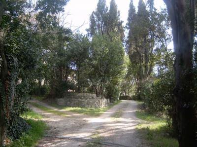 Ville di Prestigio in Vendita a Cossignano #8