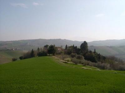 Ville di Prestigio in Vendita a Cossignano #28