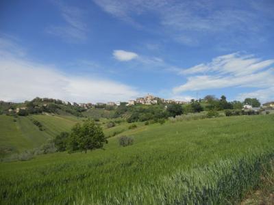 Rustici e Casali in Vendita a Carassai #14