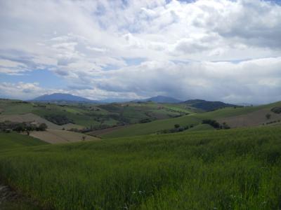 Rustici e Casali in Vendita a Carassai #16