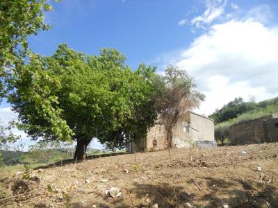 Rustici e Casali in Vendita a Carassai #12