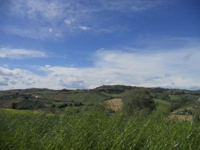 Rustici e Casali in Vendita a Carassai #15