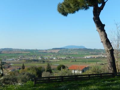 Rustici e Casali in Vendita a Potenza Picena #18