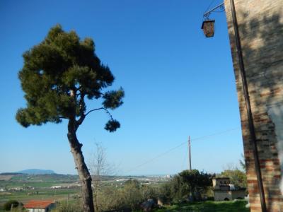 Rustici e Casali in Vendita a Potenza Picena #20