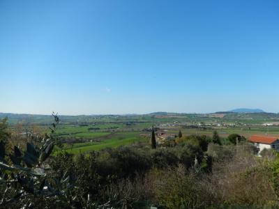 Rustici e Casali in Vendita a Potenza Picena #28