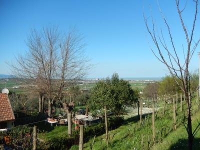 Rustici e Casali in Vendita a Potenza Picena #30