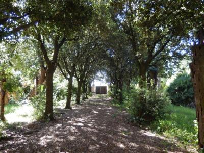 Ville di Prestigio in Vendita a Porto Recanati #8