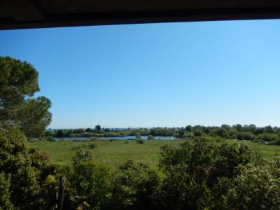 Ville di Prestigio in Vendita a Porto Recanati #10