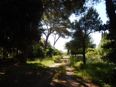 Ville di Prestigio in Vendita a Porto Recanati #27