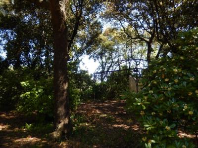 Ville di Prestigio in Vendita a Porto Recanati #30